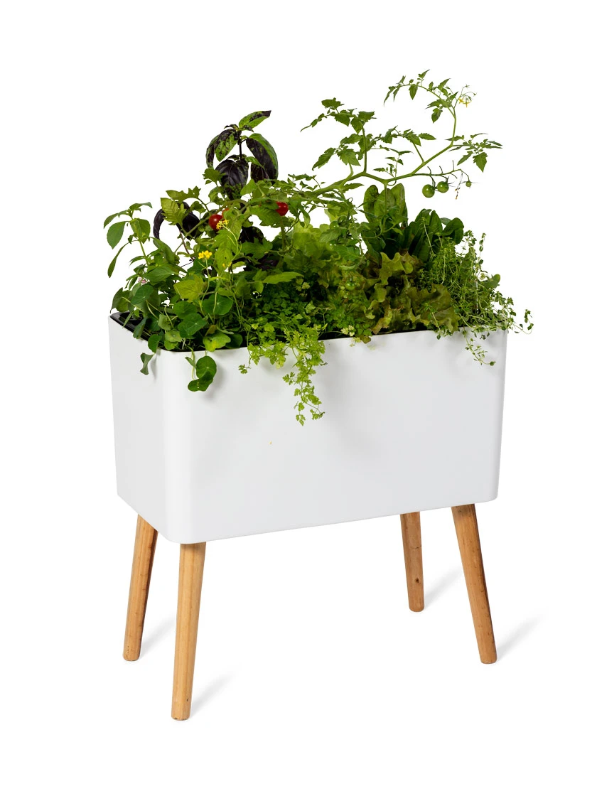 Ava Self-Watering Rectangular Planter - Image 5