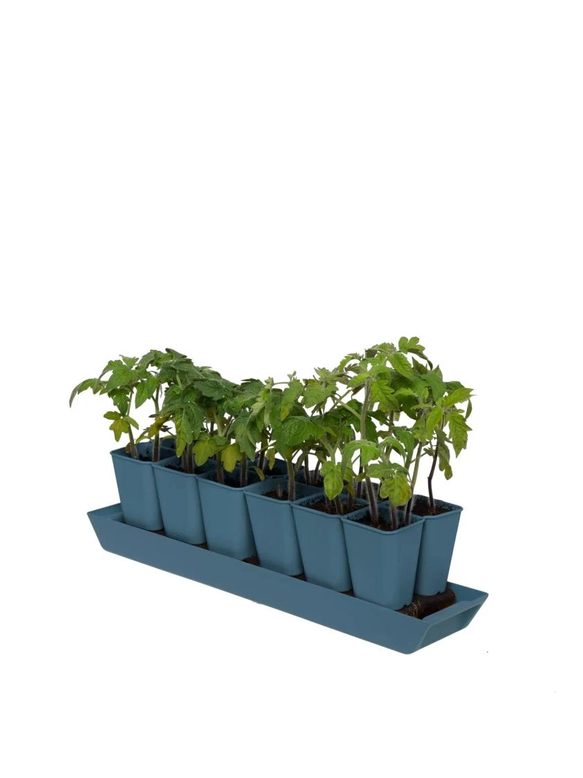 Gardener's BestĀ® XL Seed Starting Kit - Image 6