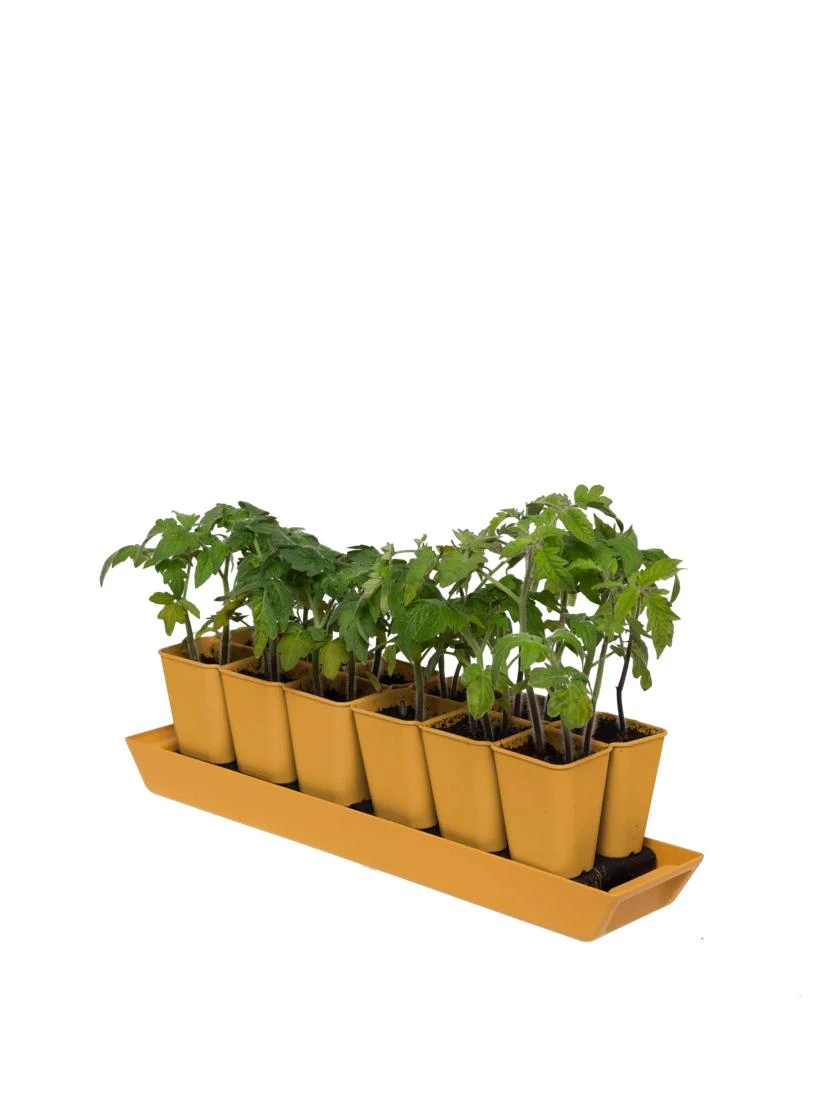 Gardener's BestĀ® XL Seed Starting Kit - Image 4