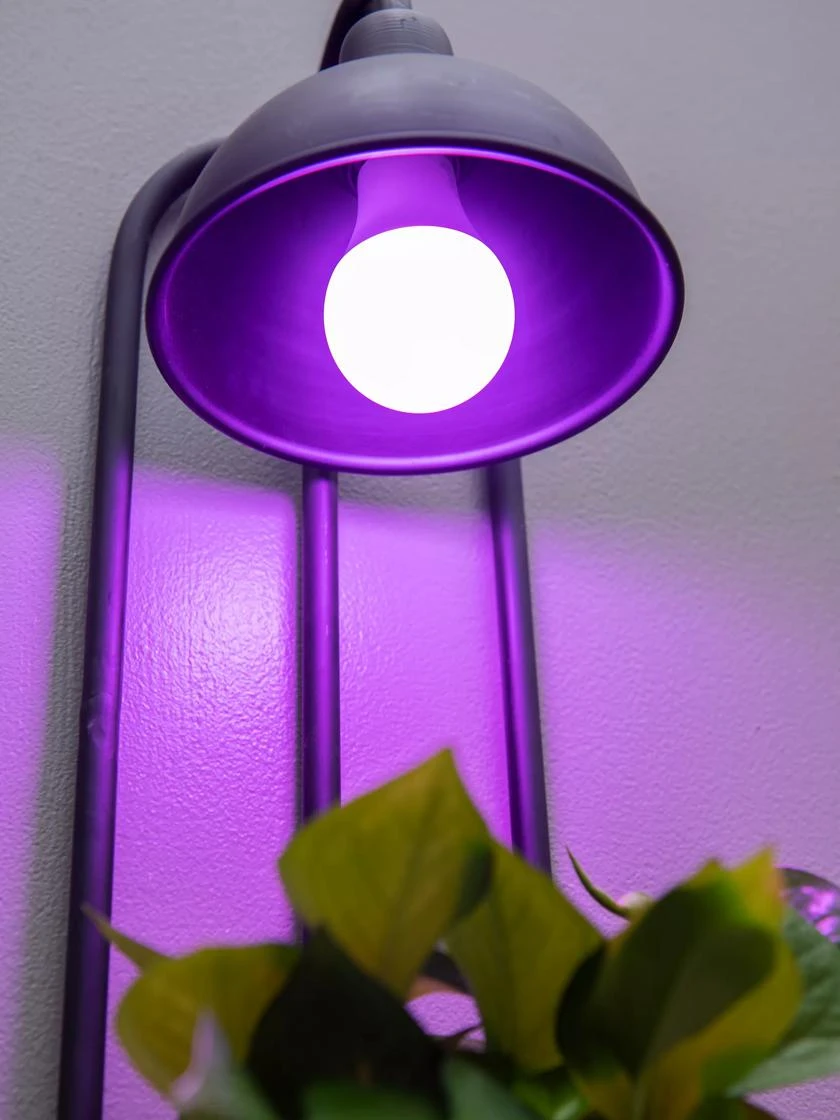 Kira Grow Light Hanging Planter - Image 4
