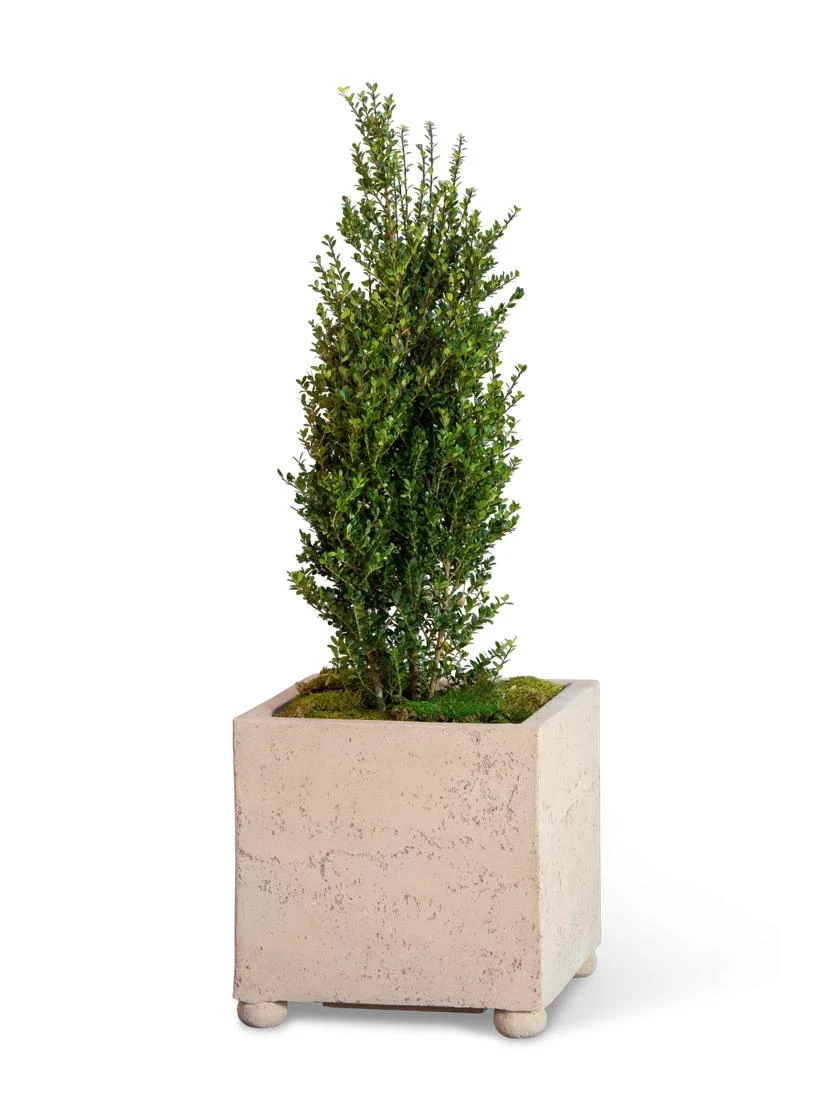 Self-Watering LavaStoneĀ® Modern Square - Image 2