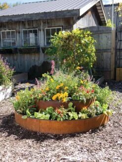 Birdies⢠Corten Steel Round Raised Bed, Large, Low