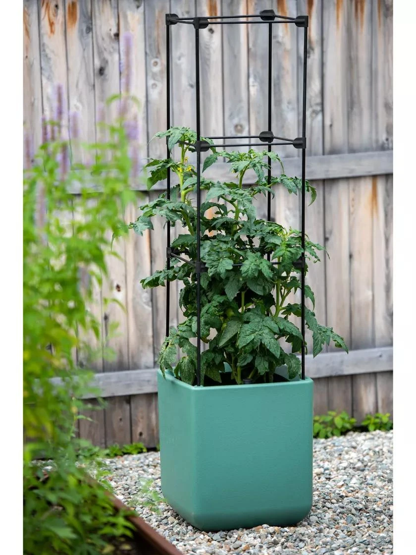Oasis Self-Watering Tomato Planter With Trellis - Image 5