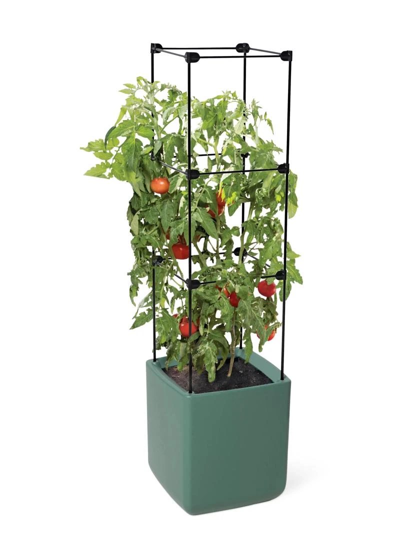 Oasis Self-Watering Tomato Planter With Trellis - Image 2