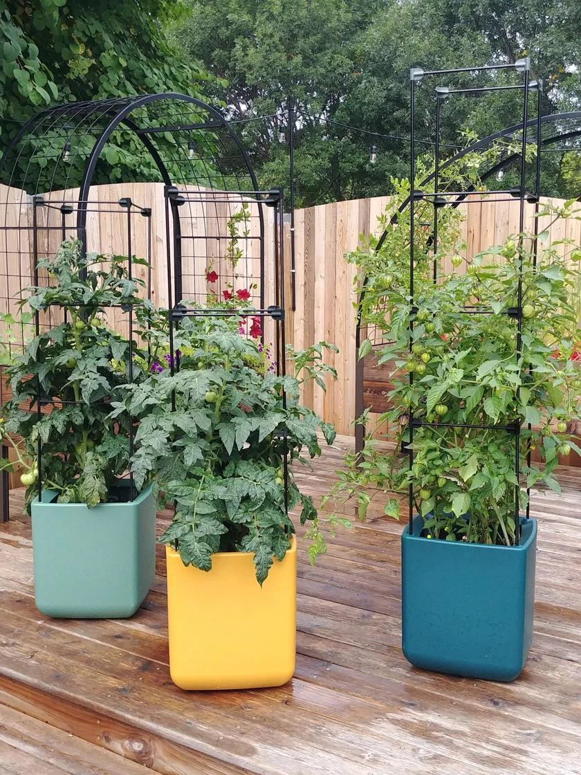 Oasis Self-Watering Tomato Planter With Trellis