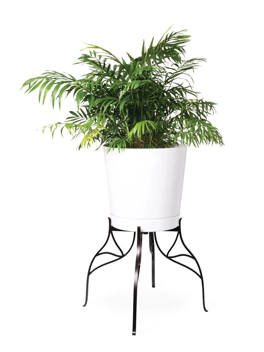 Aubrey Adjustable Plant Stand
