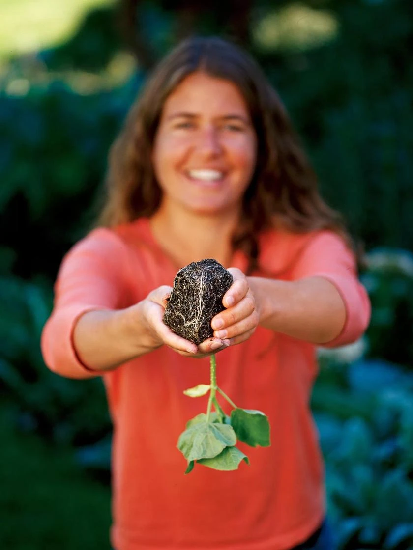 Deep Root Seedstarting System, Black - Image 3