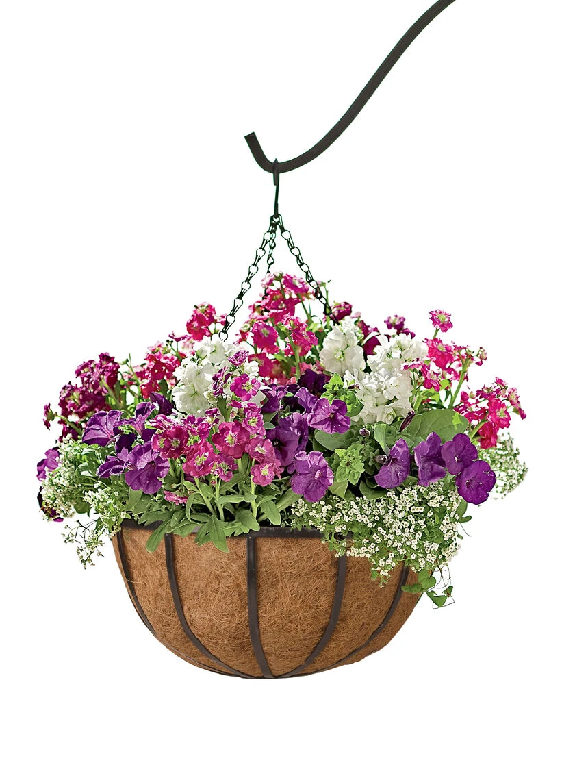 AquaSav™ Replacement Liners, Set Of 3 - Image 4