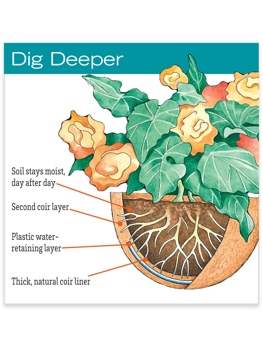 AquaSav™ Replacement Liners, Set Of 3 - Image 3