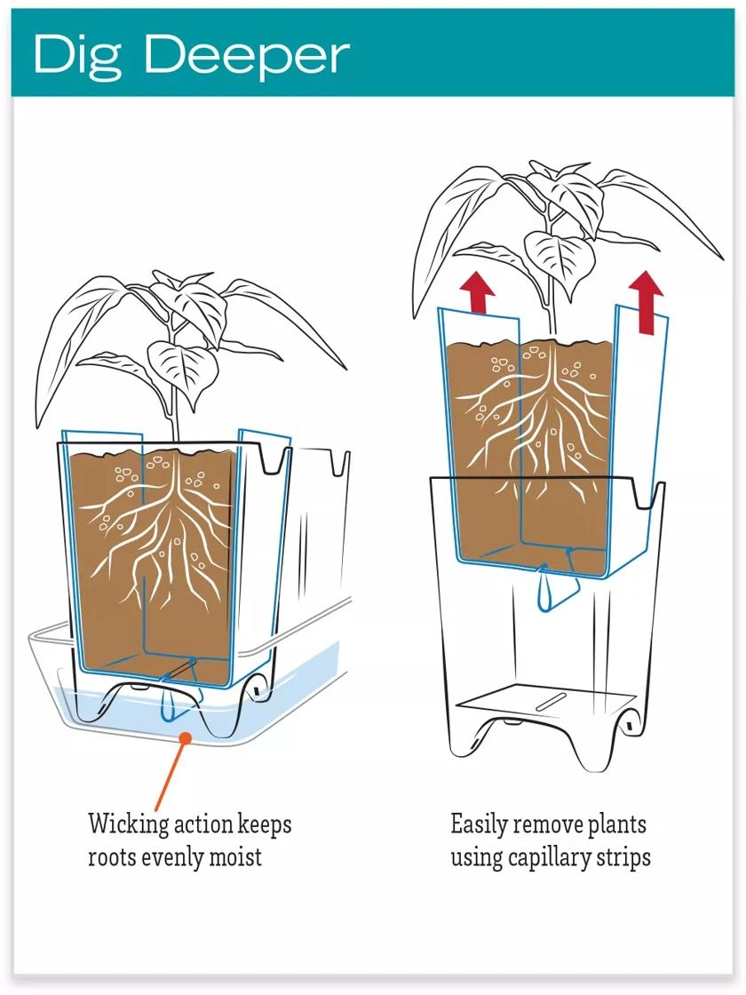 Stoneware Self-Watering Windowsill Planters, Set Of 2 - Image 5